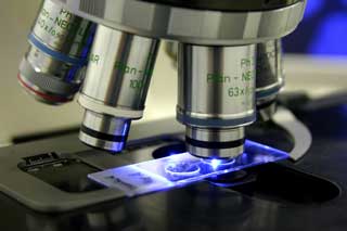 Nanotechnology Formulated Adhesives, Sealants and Coatings 
