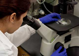 Adhesive Compounds for Research and Development