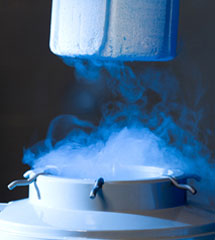 Master Bond’s cryogenic adhesives are used in a wide range of structural bonding, encapsulation and sealing applications. Epoxy Adhesives for Cryogenic Applications