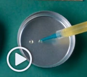 Video: How Do You Use Premixed & Frozen Syringes?