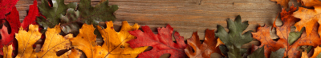 fall_foot.jpg