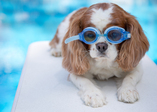 shutterstock_102304057 2