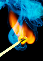 shutterstock_35293666