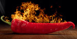 shutterstock_51473347 2