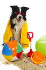 shutterstock_80027182