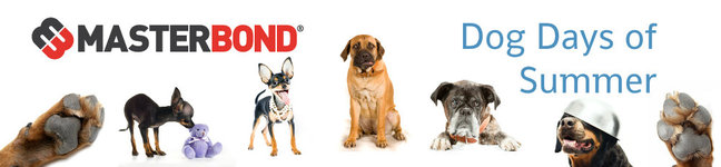 shutterstock_98312987LR_Logo