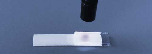 Master Bond Epoxy Supreme 112