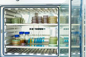 Adhesives systems for Microbiological Incubators