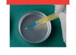 Dispensing material from premixed and frozen syringe