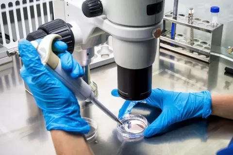 Adhesive Compounds for Research and Development